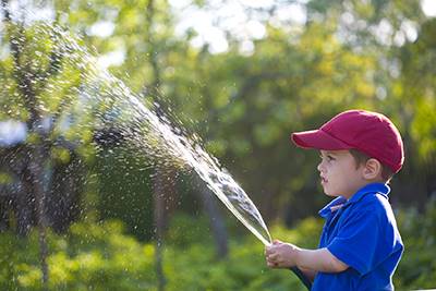 Boy Watering