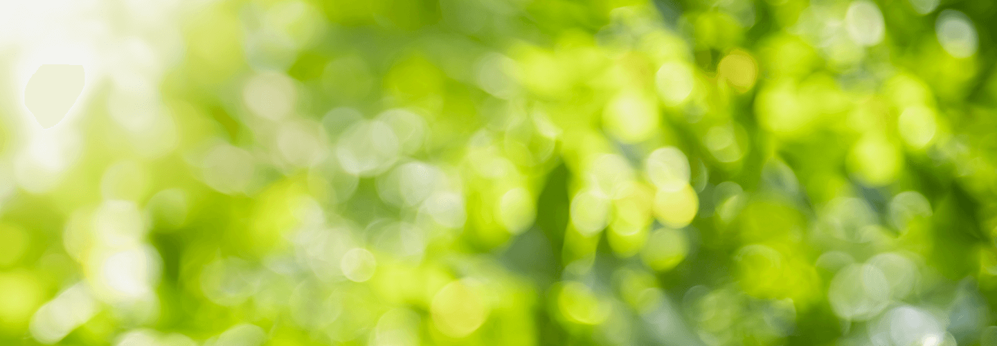 Recovering Lawn From Too Much Rain