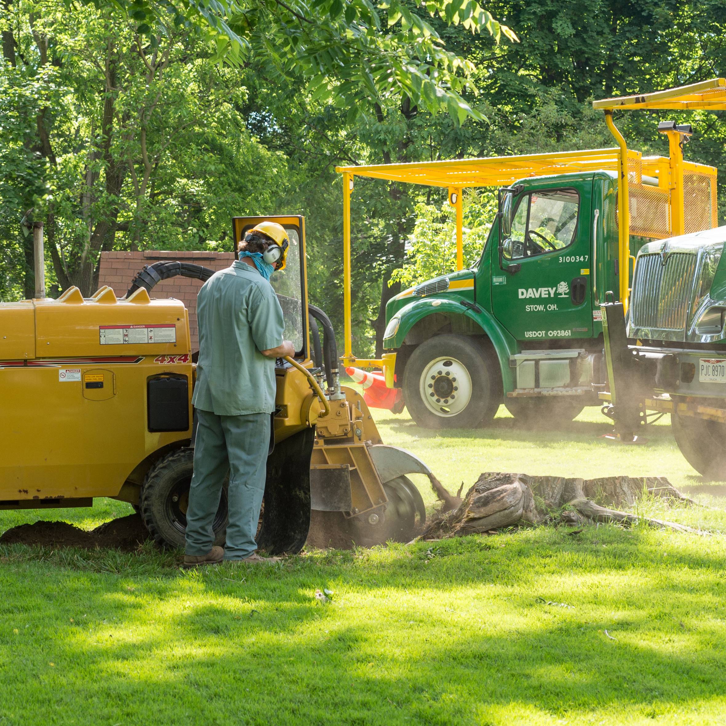 Stump Grinding