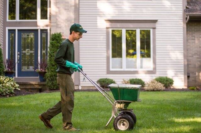 Lawn Fertilization