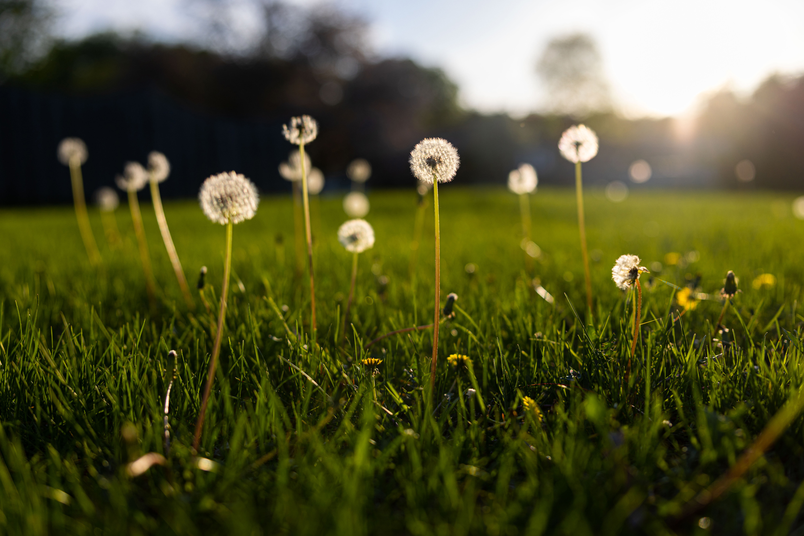 Adobestock 603125763