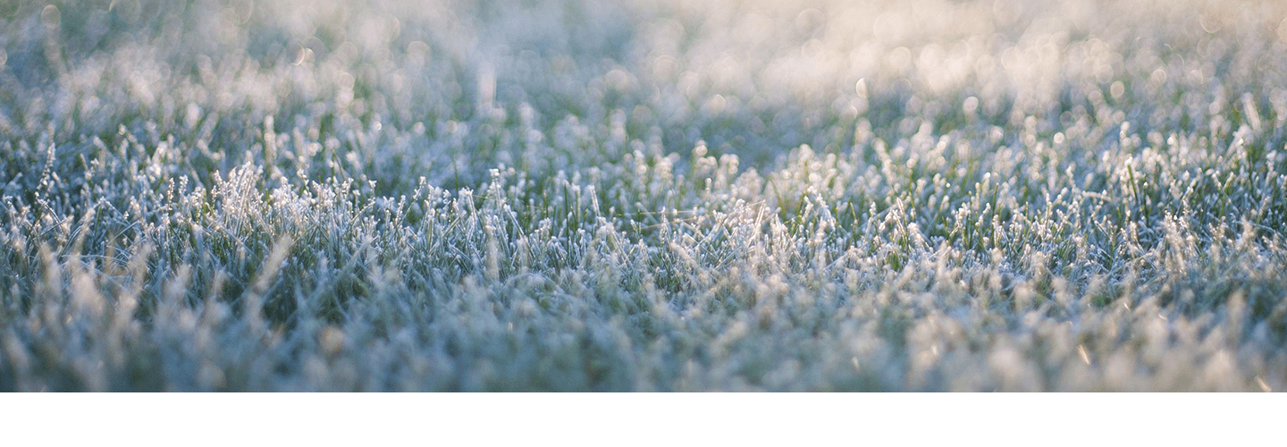 Will Frost Hurt Fruit Trees