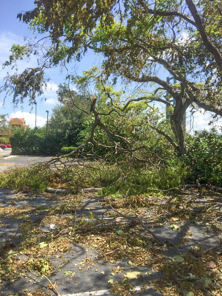 MD Hurricane Irma CLS 2